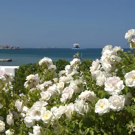 Apart-hotel Irene - Beachfront