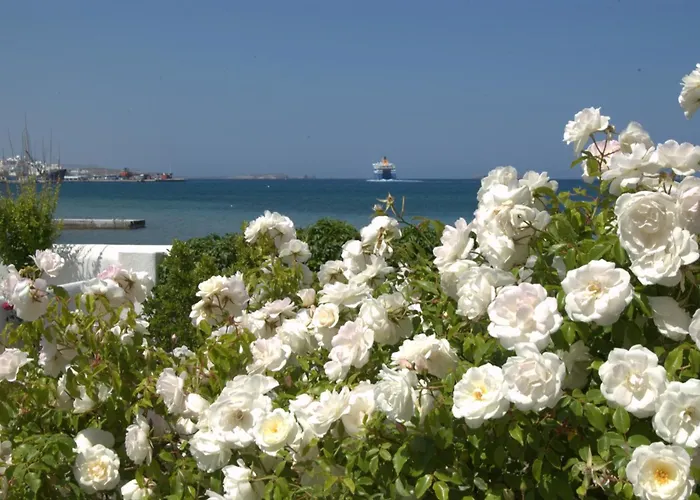 Appart hôtel Irene - Beachfront