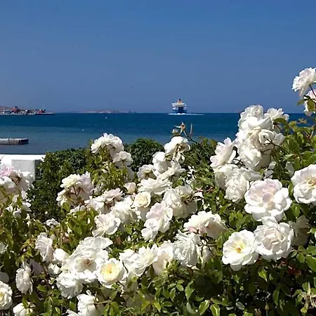 Irene - Beachfront 3*
