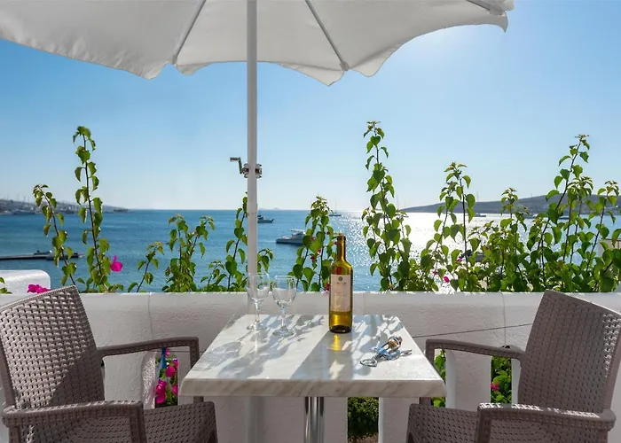 Irene - Beachfront Ξενοδοχείο με διαμερίσματα